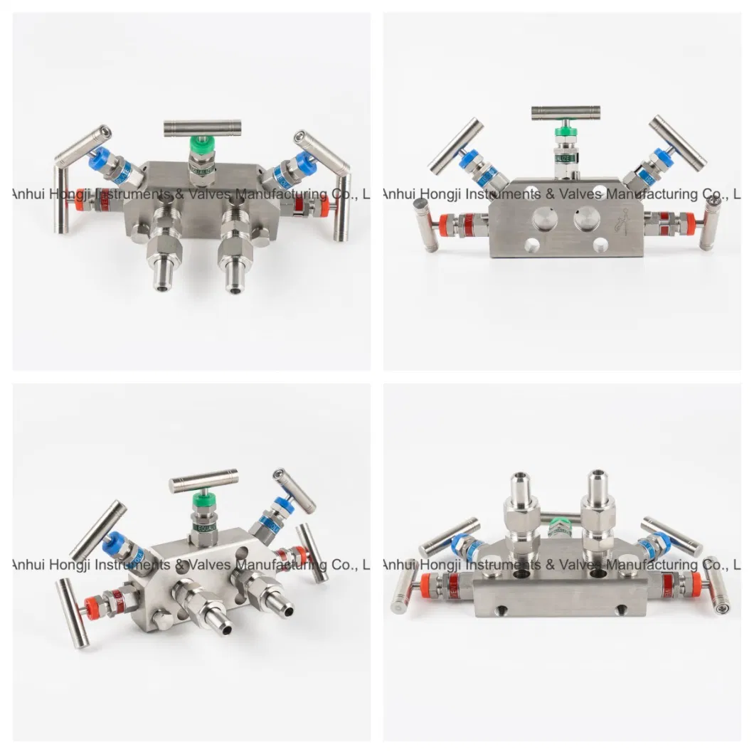 Hongji SS316 Stainless Steel Fanshaped 5-Valve Manifolds 6000psi Coplanar Valve Manifolds